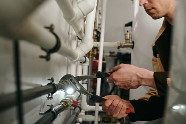 Best Emergency Plumber  in West Plains, MO
