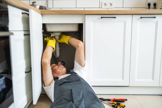 Best Leak Detection Services  in West Plains, MO