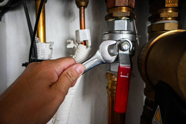 Best Commercial Plumbing Services  in West Plains, MO